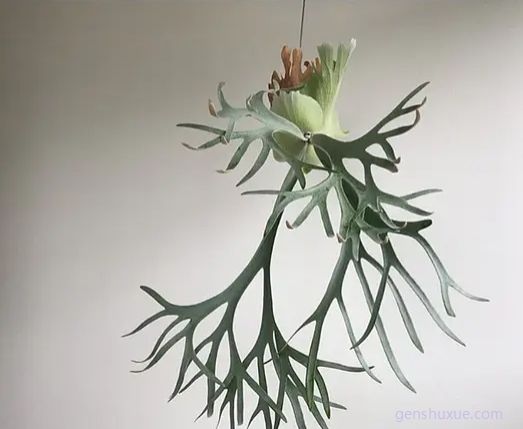image-20230404110943918